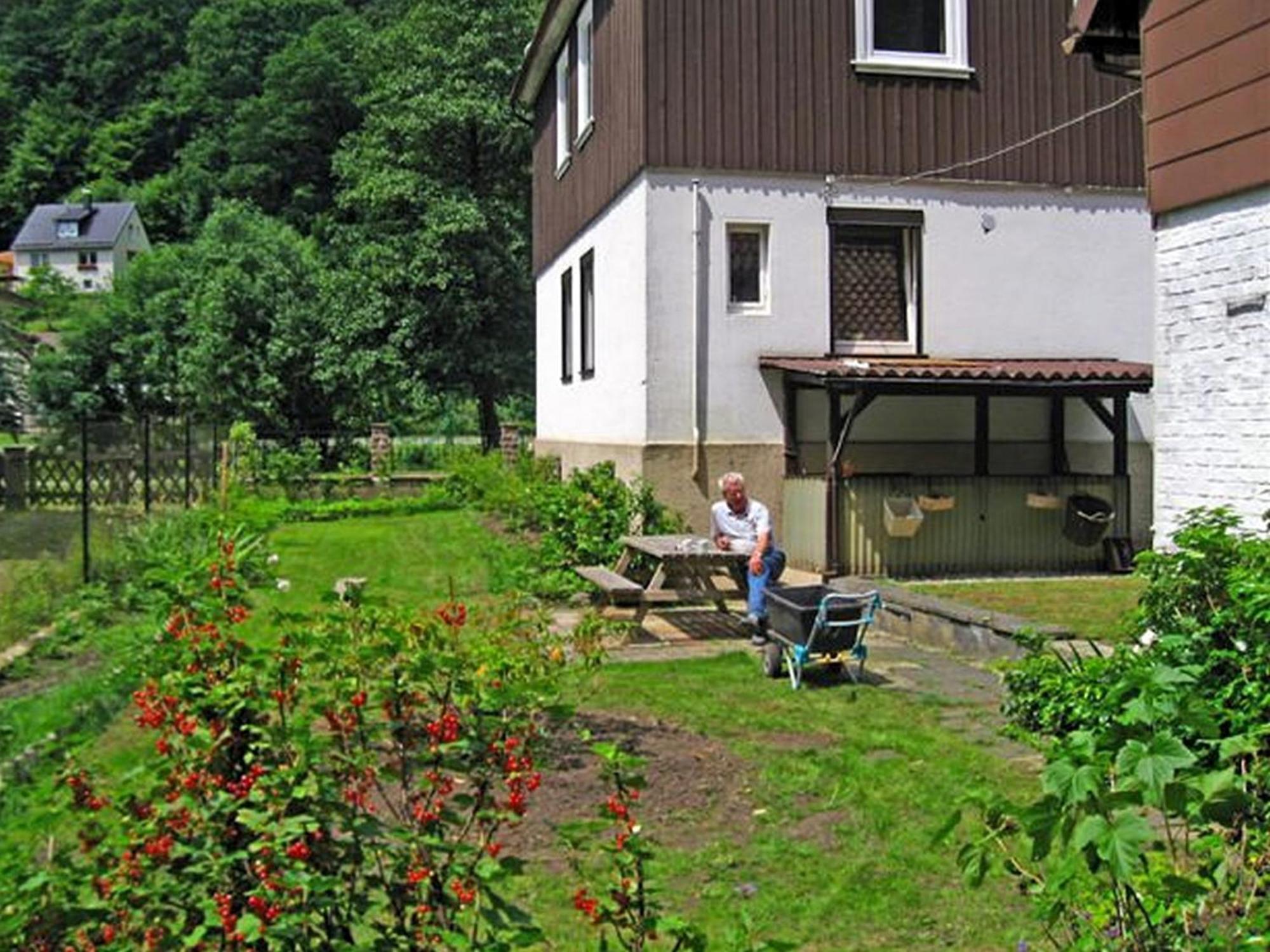 Spacious Group House In The Harz Region Цорге Экстерьер фото