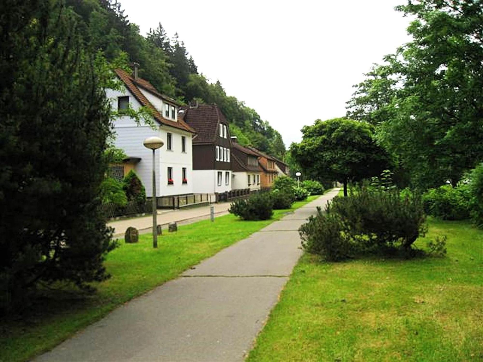 Spacious Group House In The Harz Region Цорге Экстерьер фото
