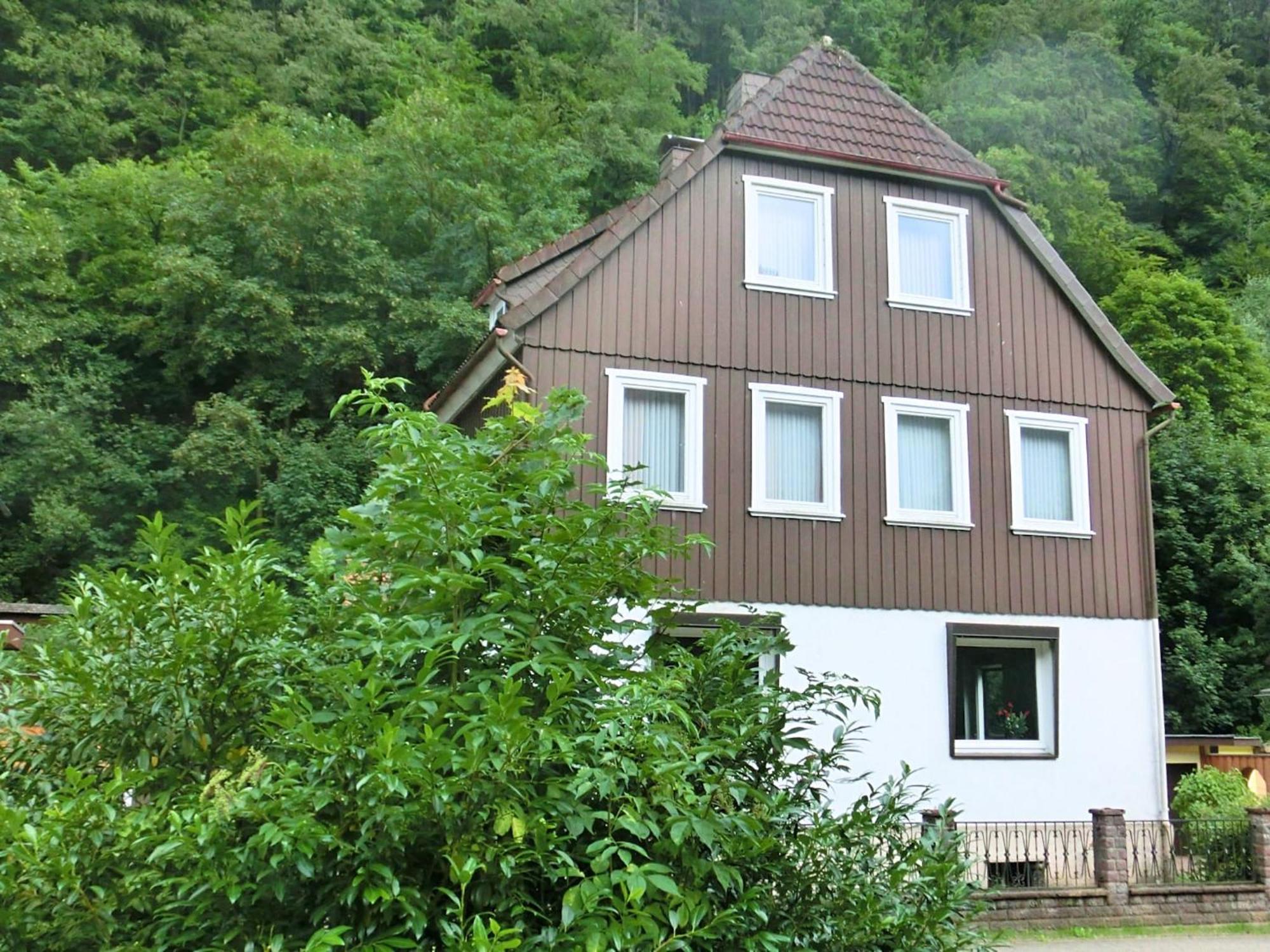 Spacious Group House In The Harz Region Цорге Экстерьер фото