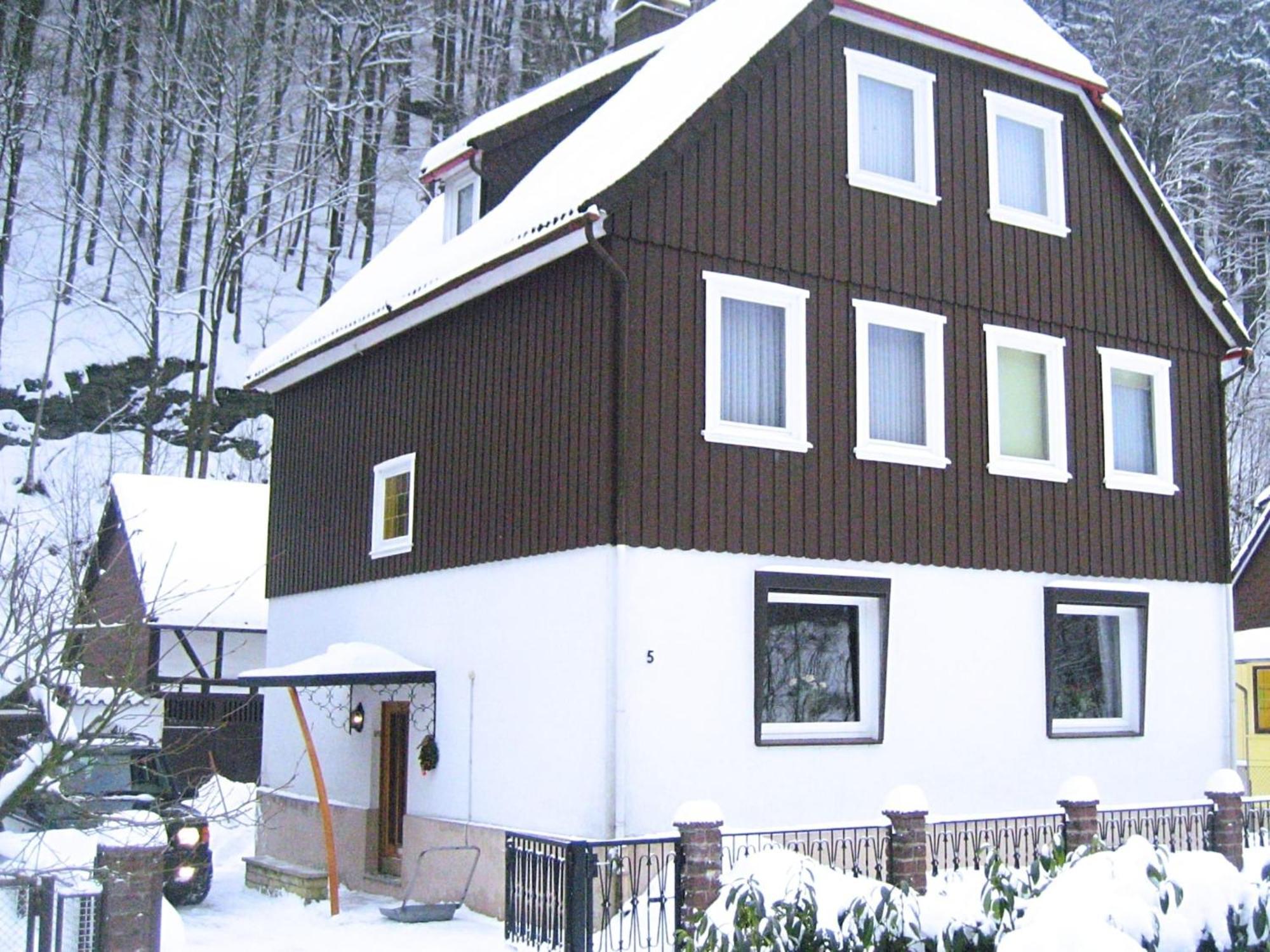 Spacious Group House In The Harz Region Цорге Экстерьер фото